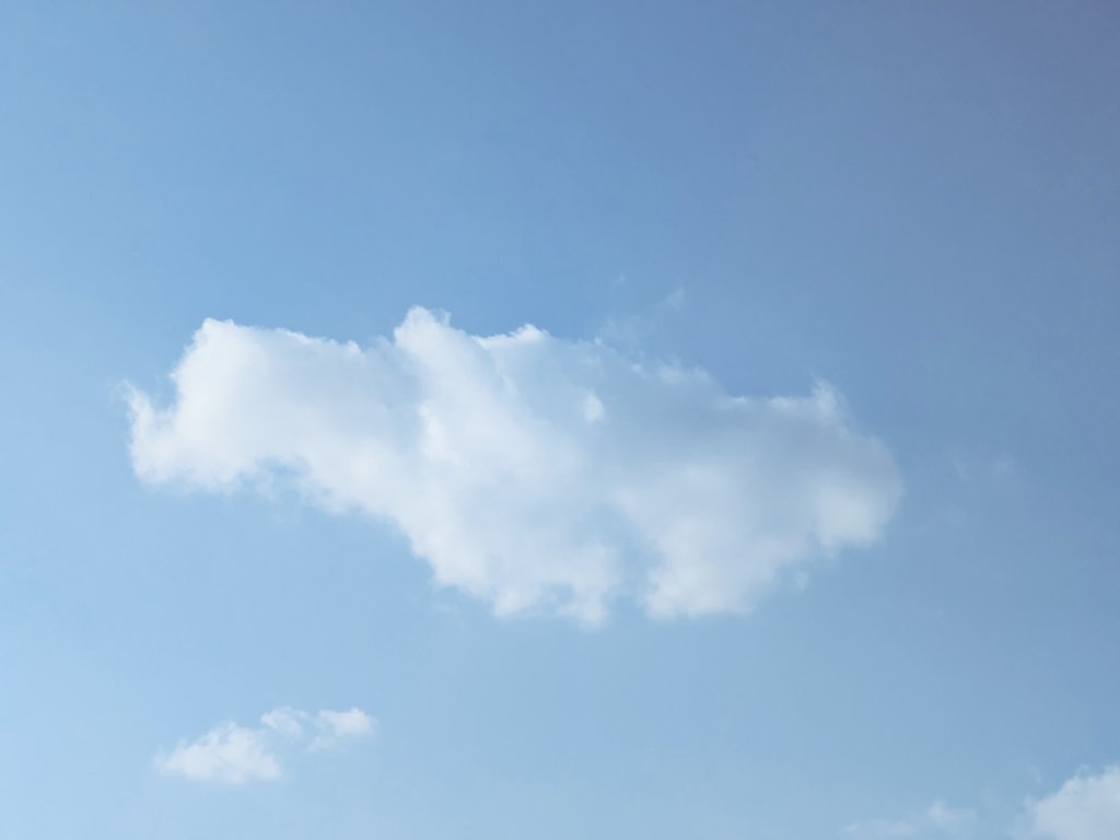 むぎまる tweet media