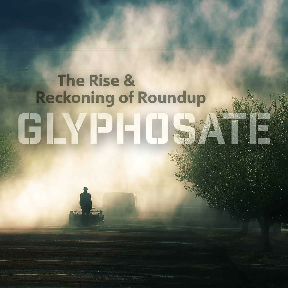 Safe Food Matters 🇨🇦 tweet media