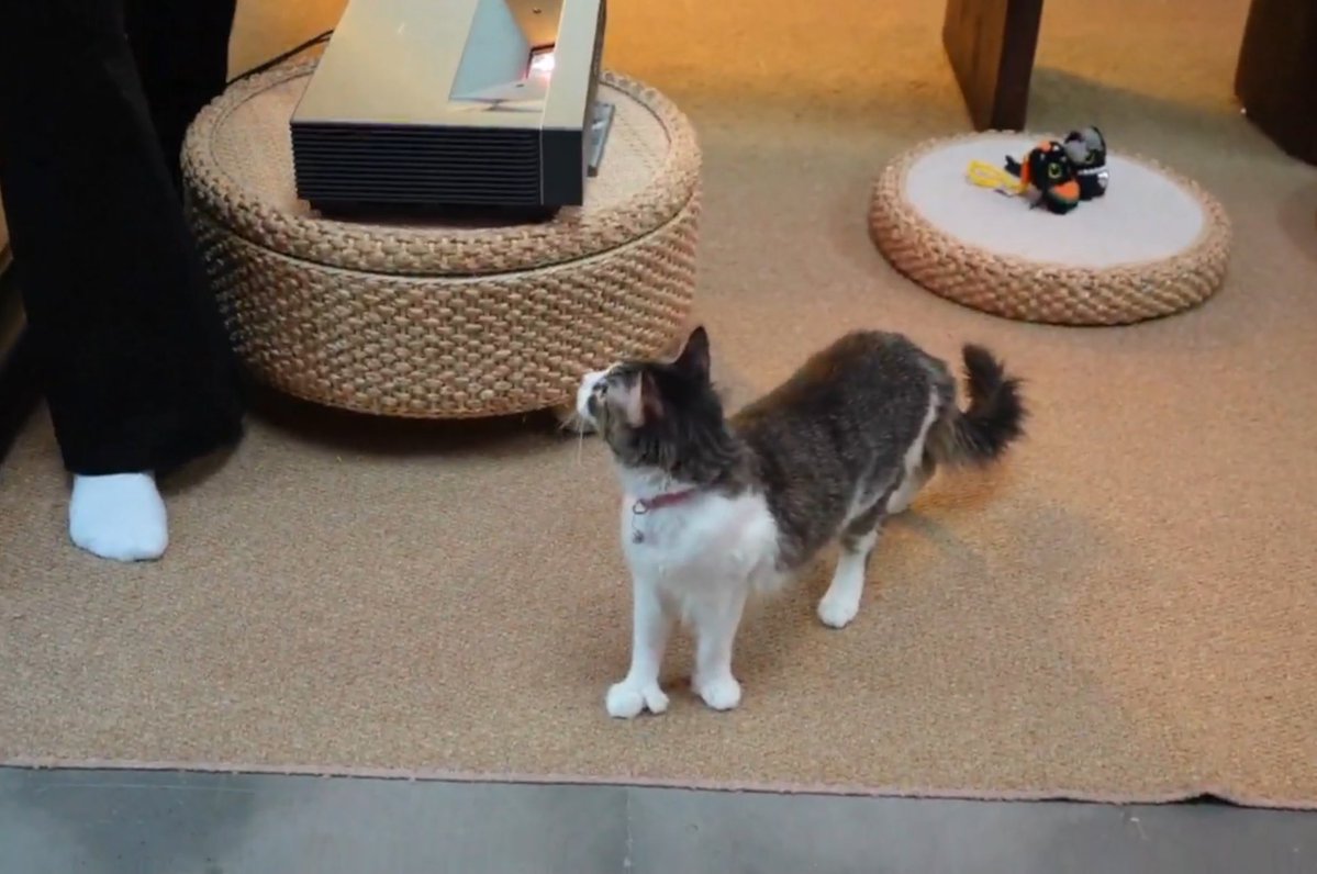 busty father tweet media