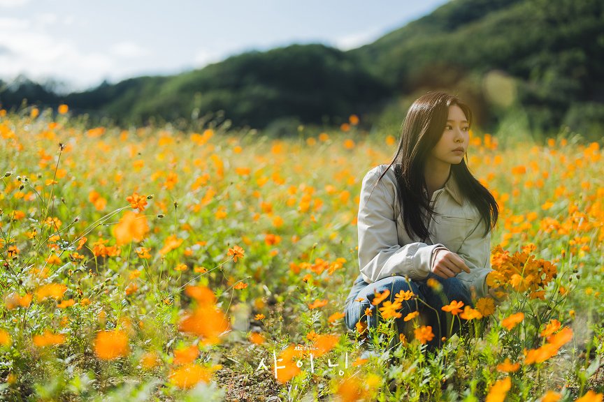 민주저장소 tweet media