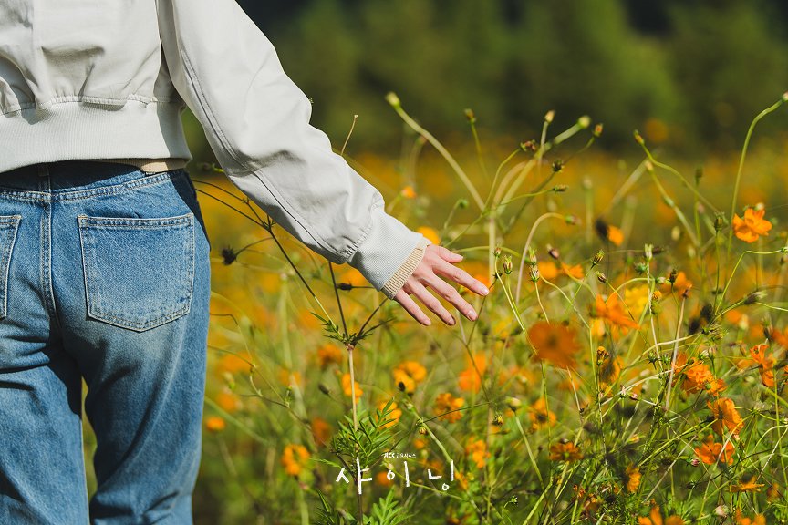 민주저장소 tweet media