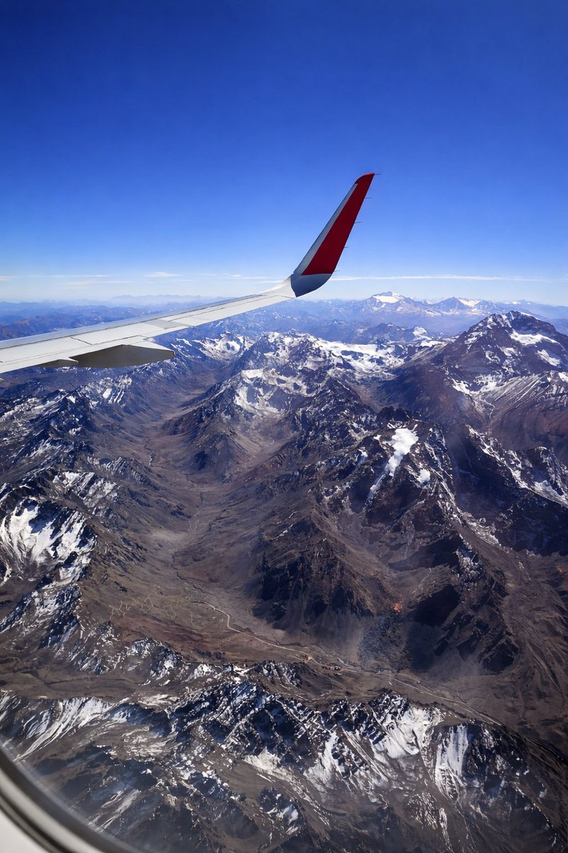 miriam ֶָ֢ tweet media