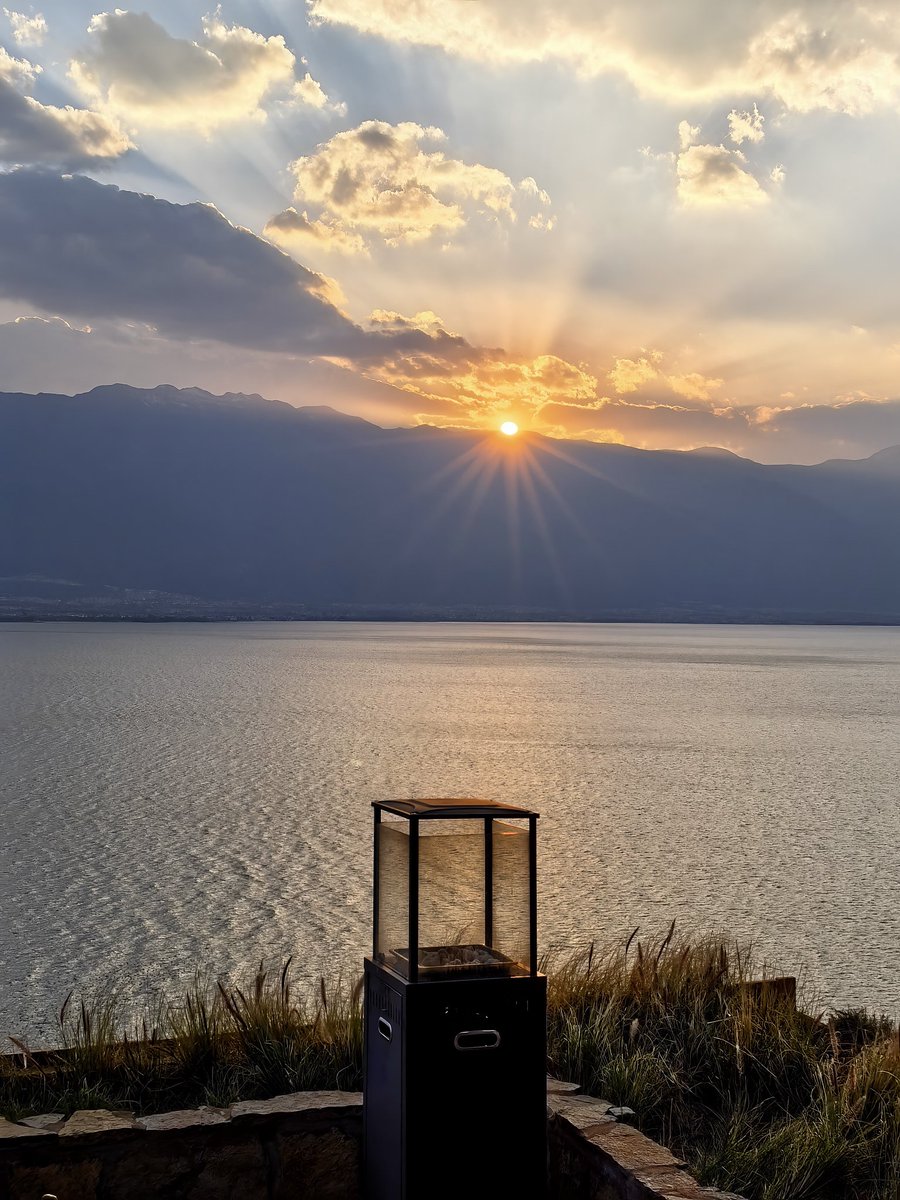 丽江洛洛 tweet media