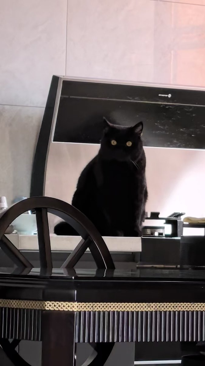 dw&the infinite sadness tweet media