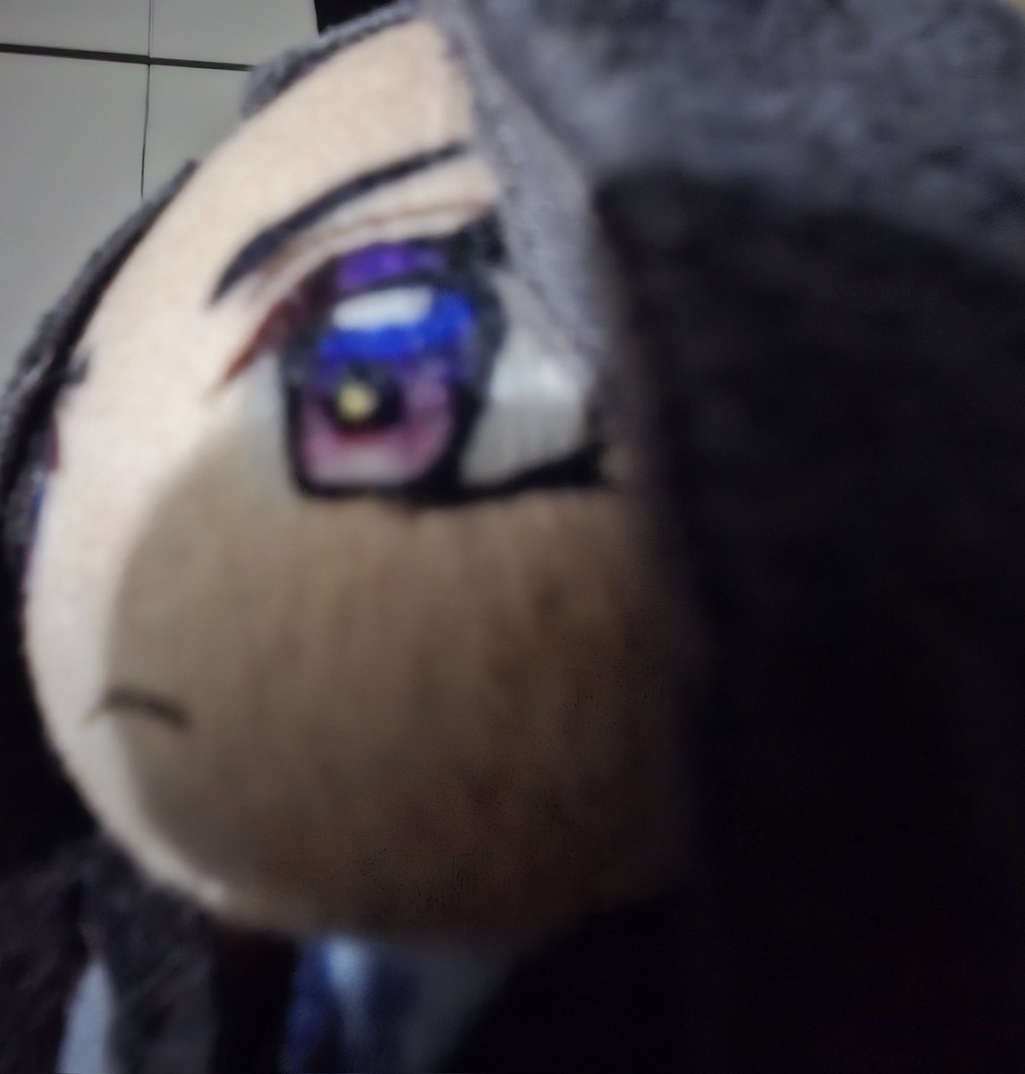 NOCTURNAL tweet media