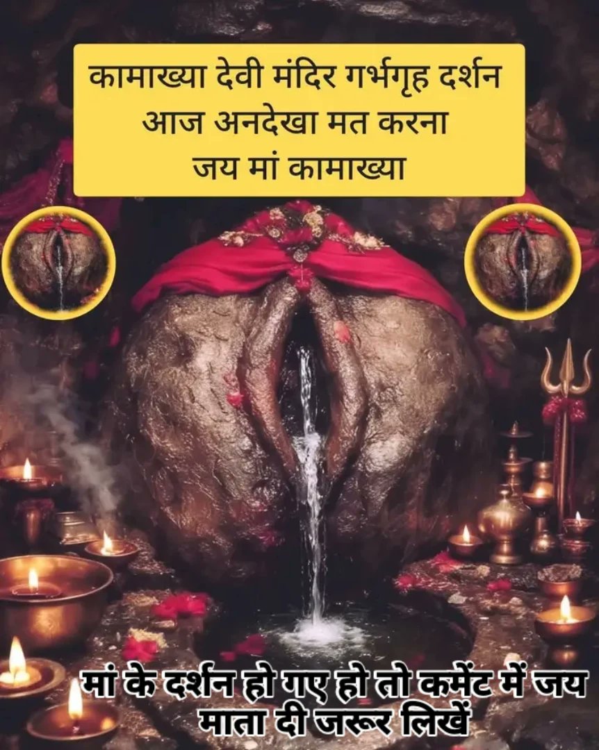 Neeru Pal tweet media