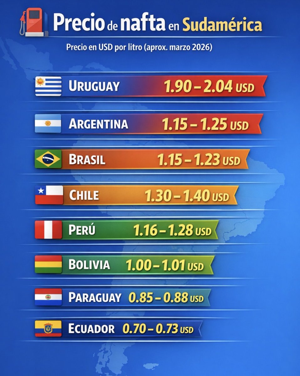 El Bagual bolso tweet media