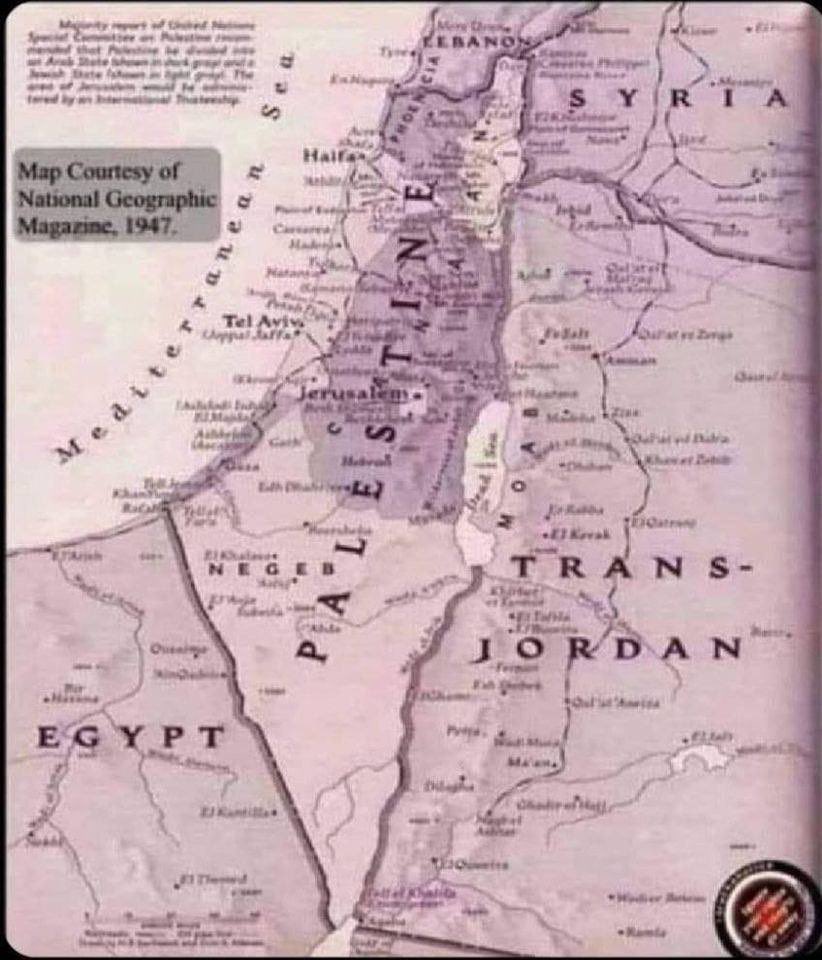 Ben🕊️ tweet media