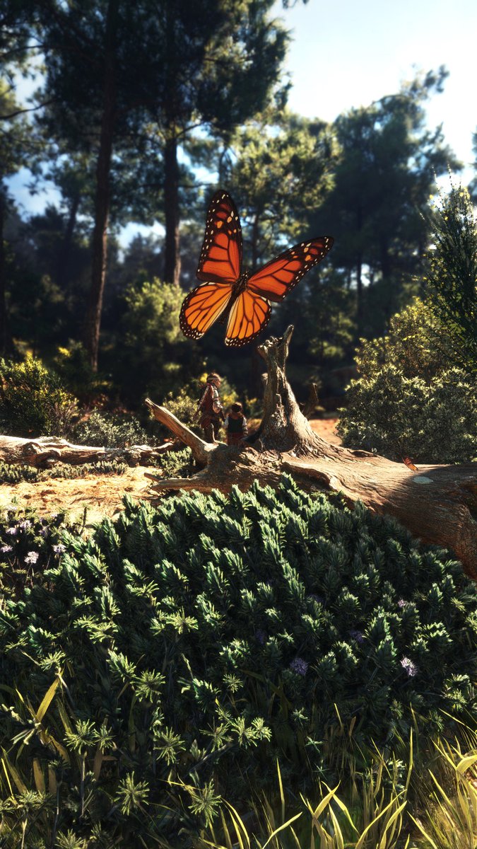 VGPNetwork tweet media