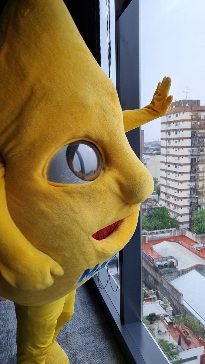 florirang tweet media