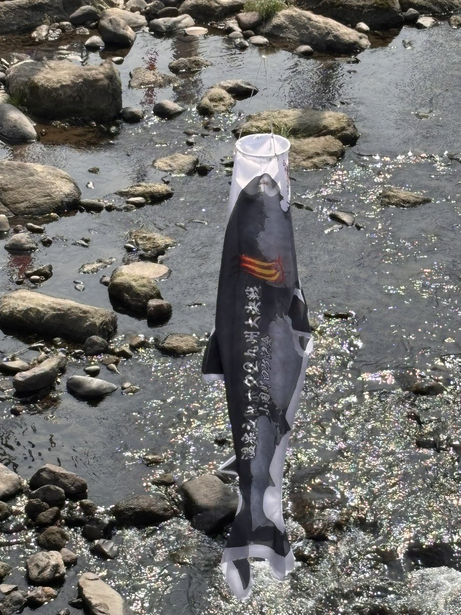 はこぶね tweet media