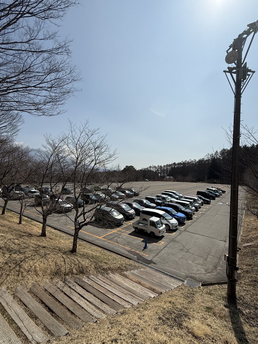 双葉🦕💫 tweet media