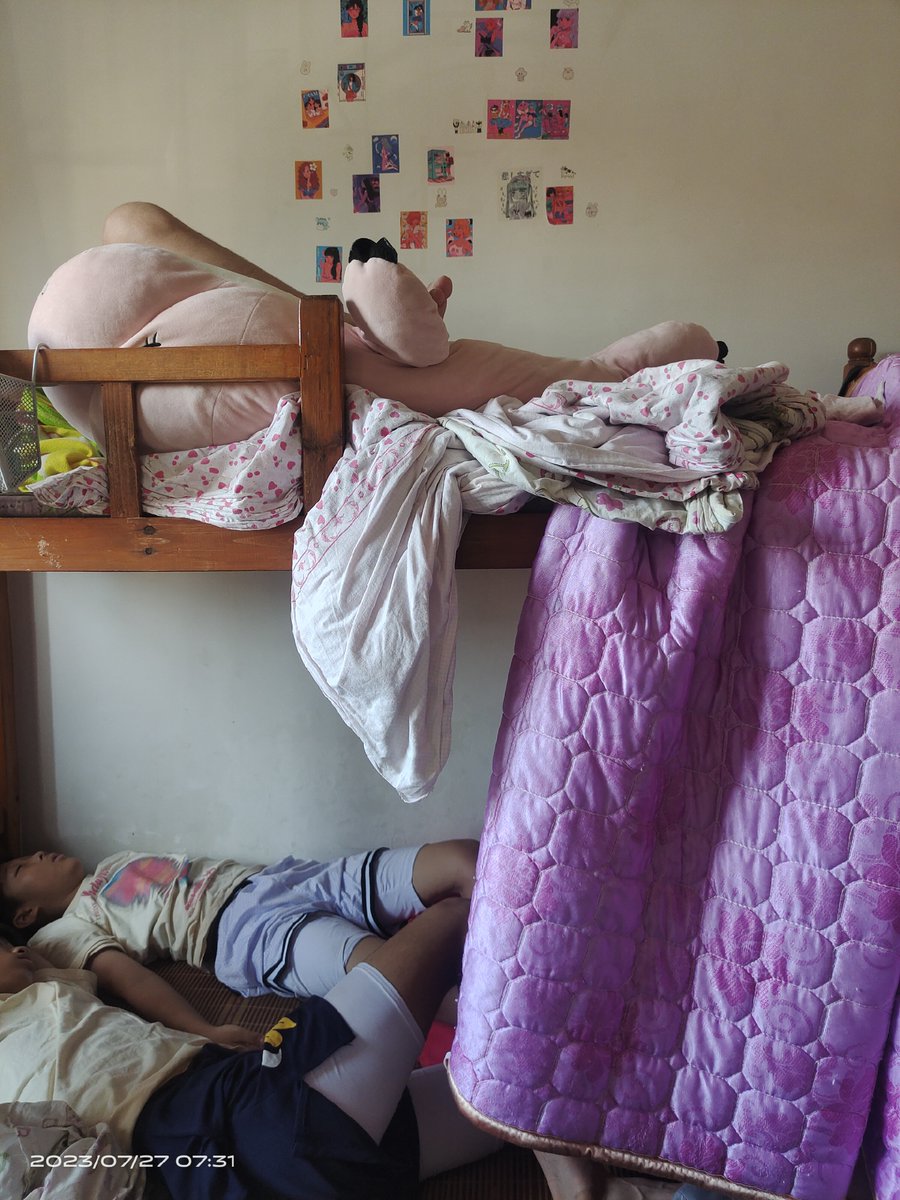 catia ferraro tweet media