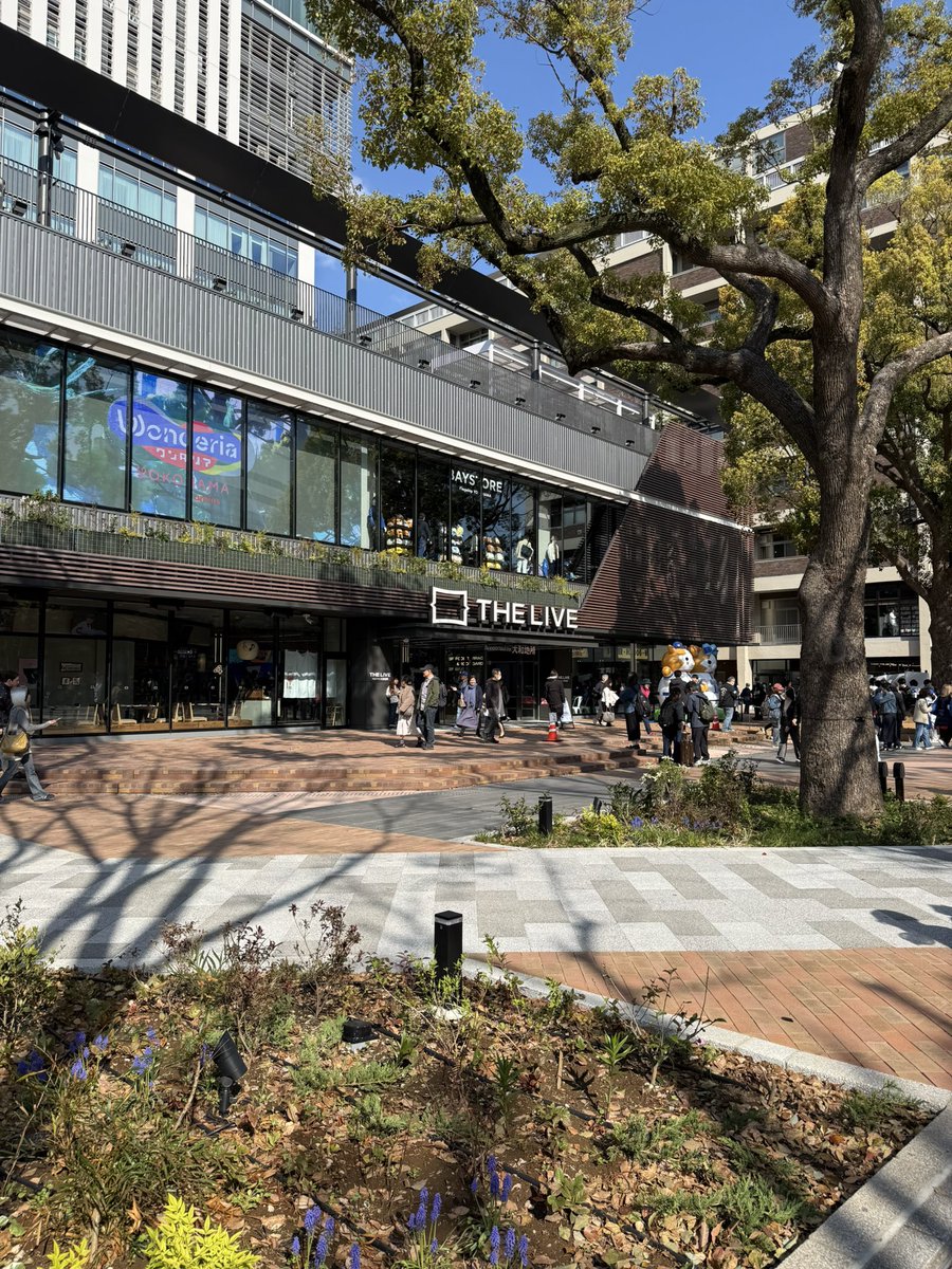 あじまさ tweet media