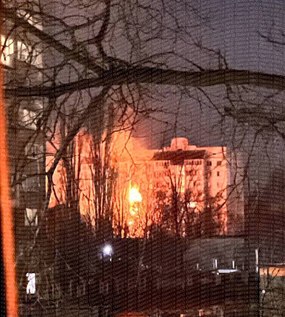 Antoninaodesa NAFO tweet media