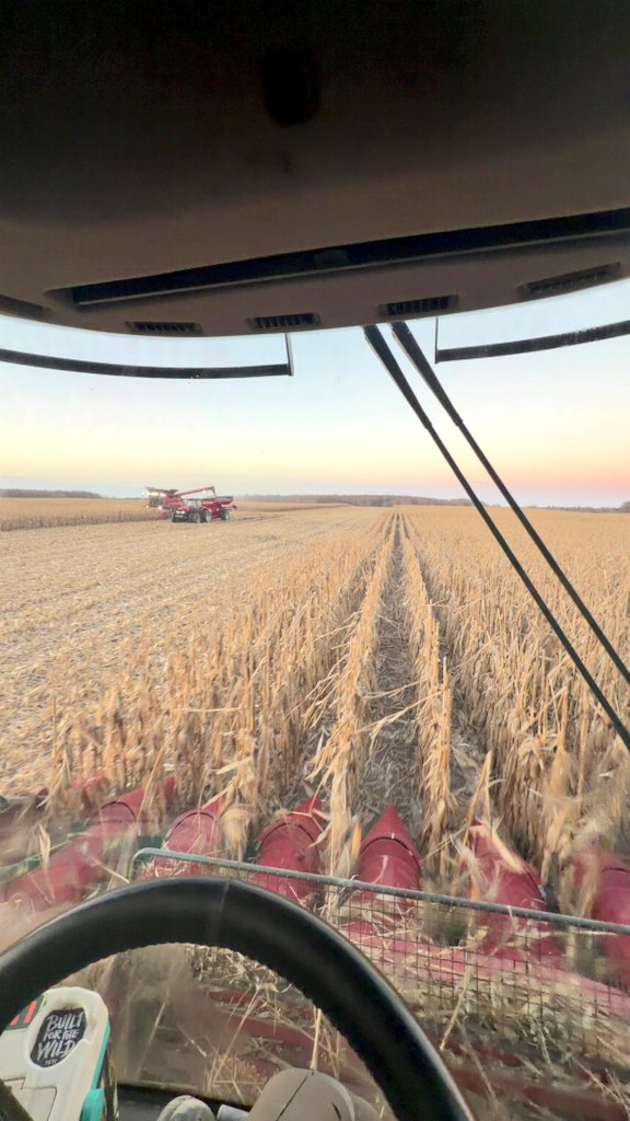 WxOntario tweet media