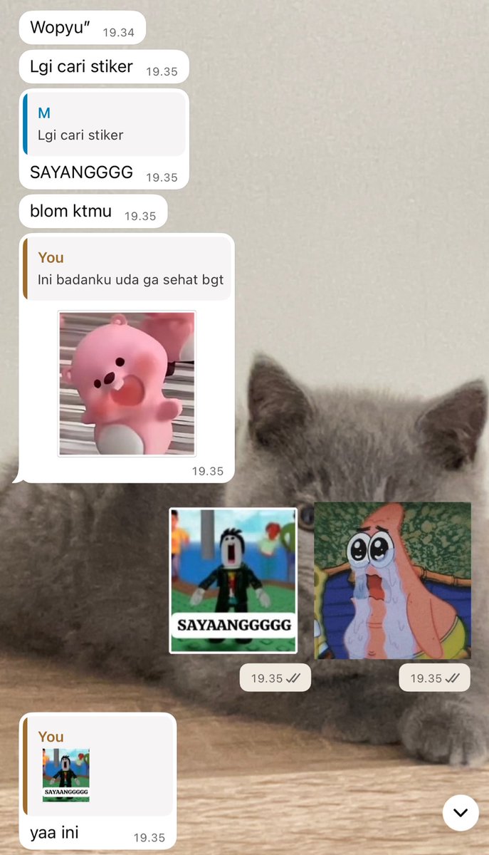 𝑠𝑎𝑙𝑙𝑦 𐙚ᶻ 𝗓 𐰁 tweet media