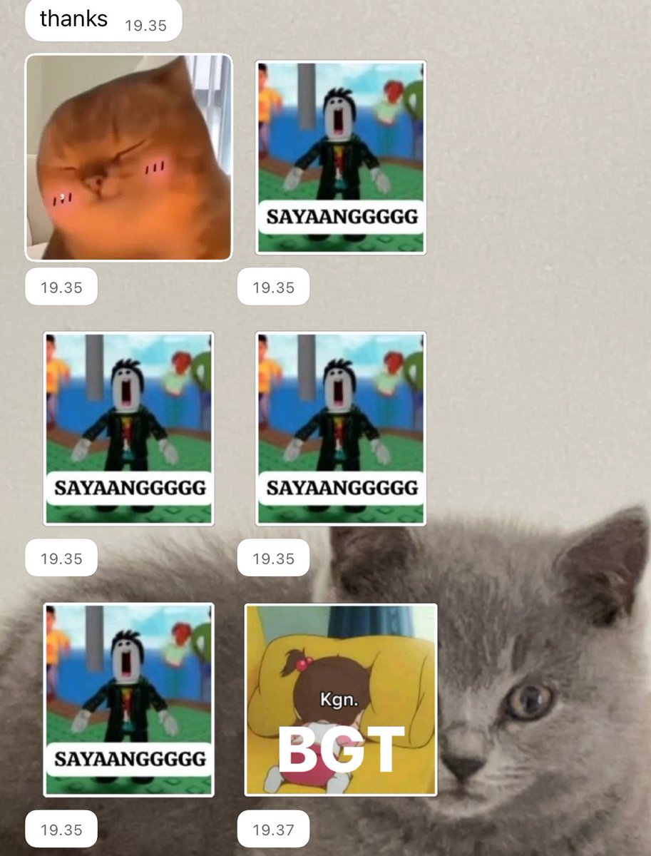 𝑠𝑎𝑙𝑙𝑦 𐙚ᶻ 𝗓 𐰁 tweet media