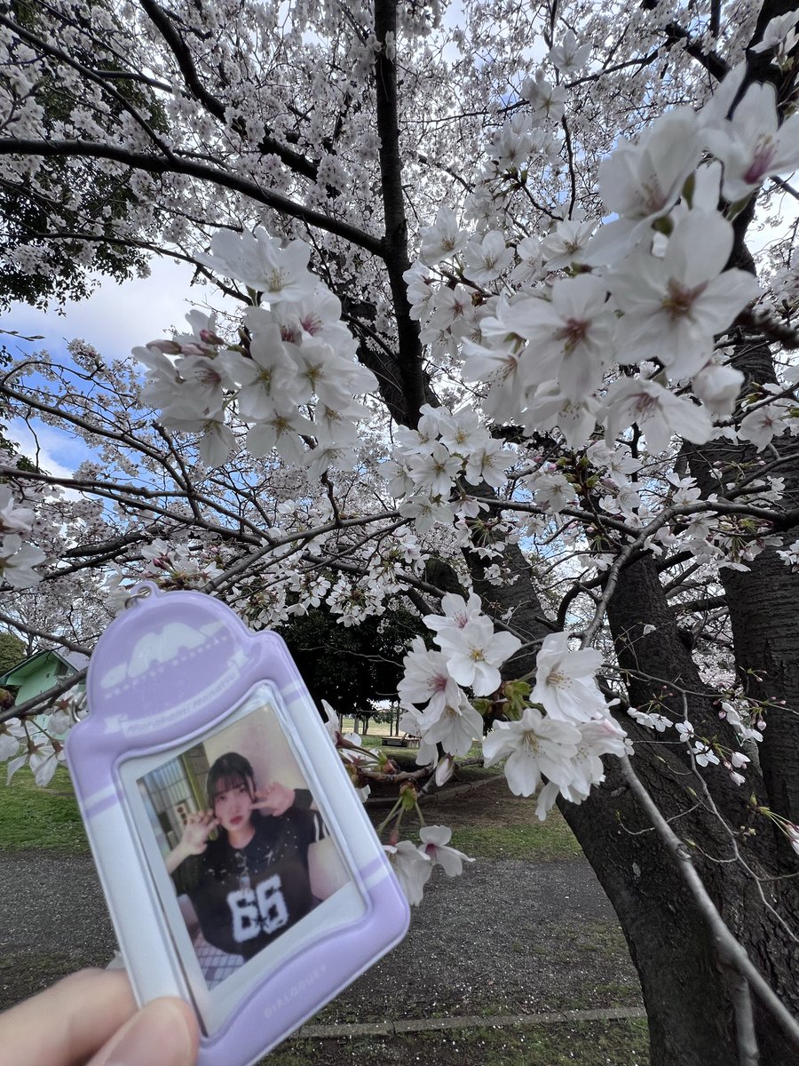 TsubyUe's tweet photo. ウホウホウホウホウホウホ〜🎶🌸 https://t.co/JffxF14bek