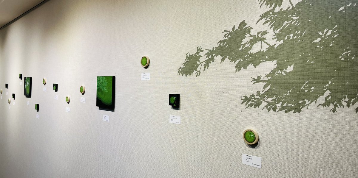 八犬堂 tweet media