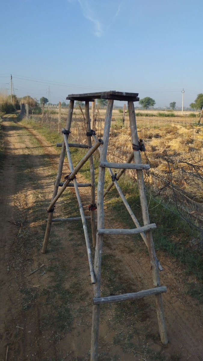 Sunny byadwal tweet media