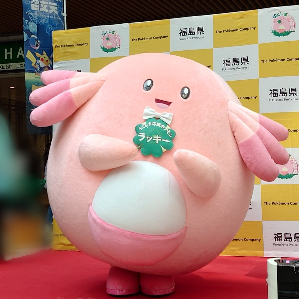 ホ・タテヤ・マ tweet media