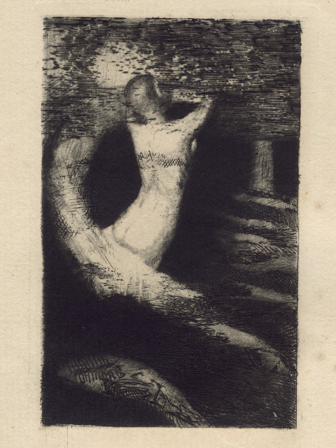 passe colmar tweet media