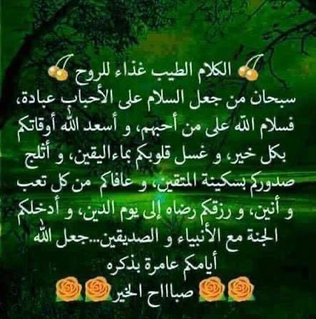 Ebrahim Shalata tweet media