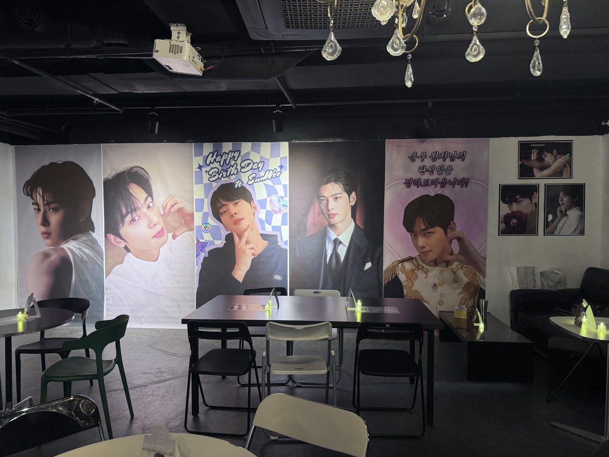 미모사 tweet media