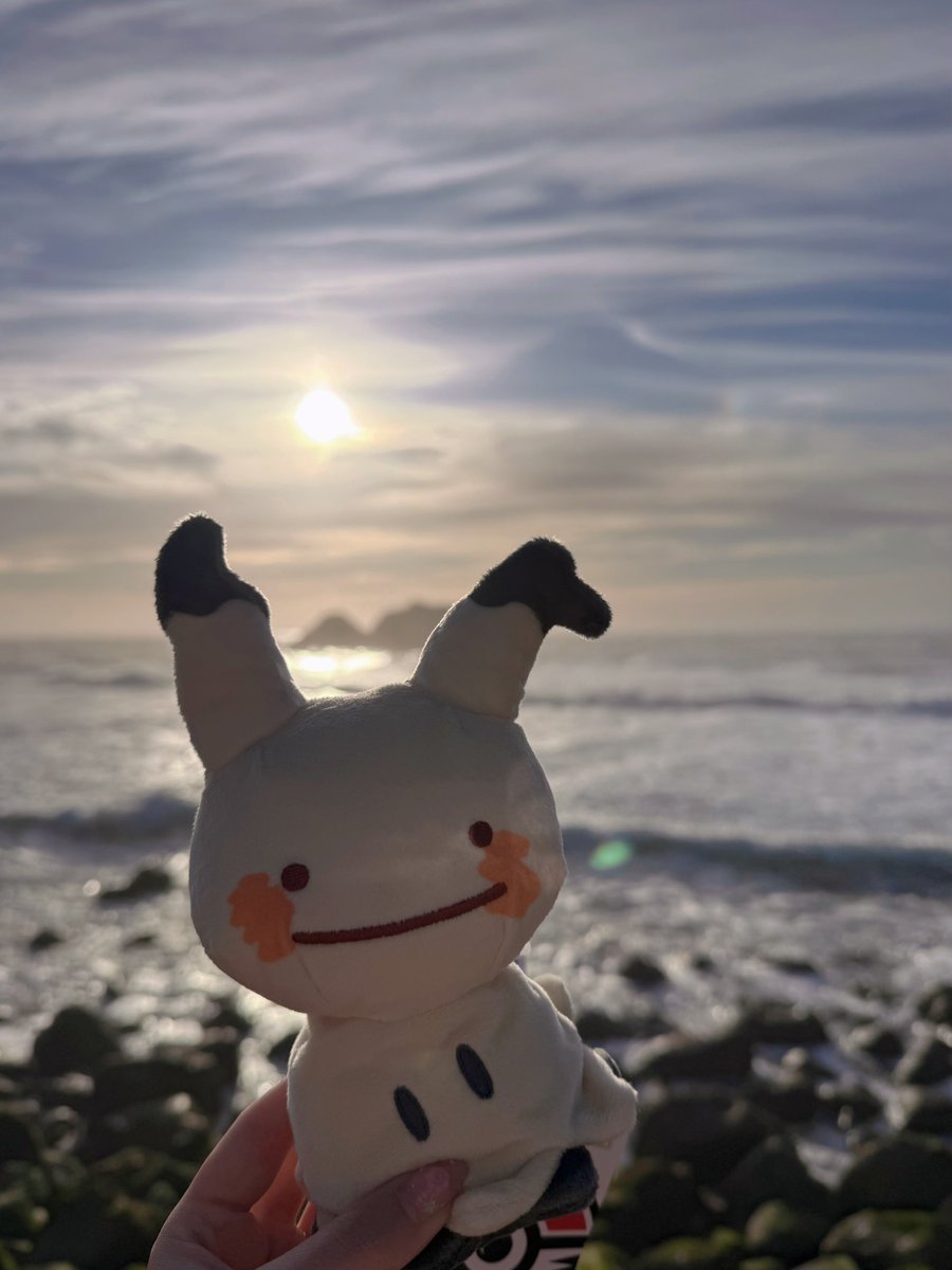 Shabel Tonya🐯👑샤벨 토냐 | ChromaSHIFT tweet media