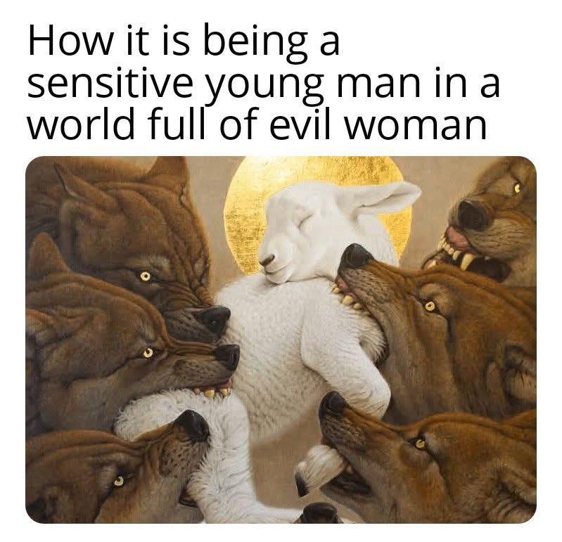 Women Being Awful tweet media