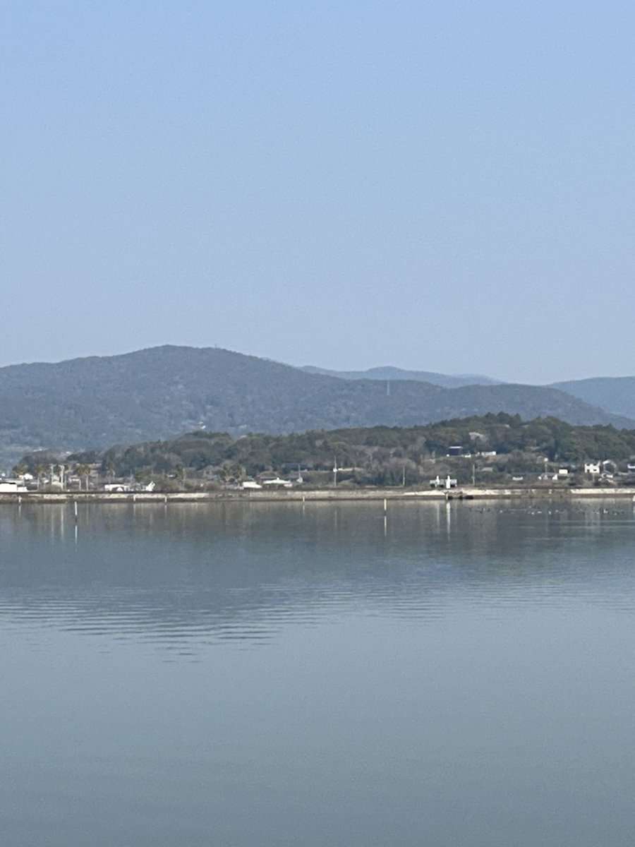 ひろぼん tweet media