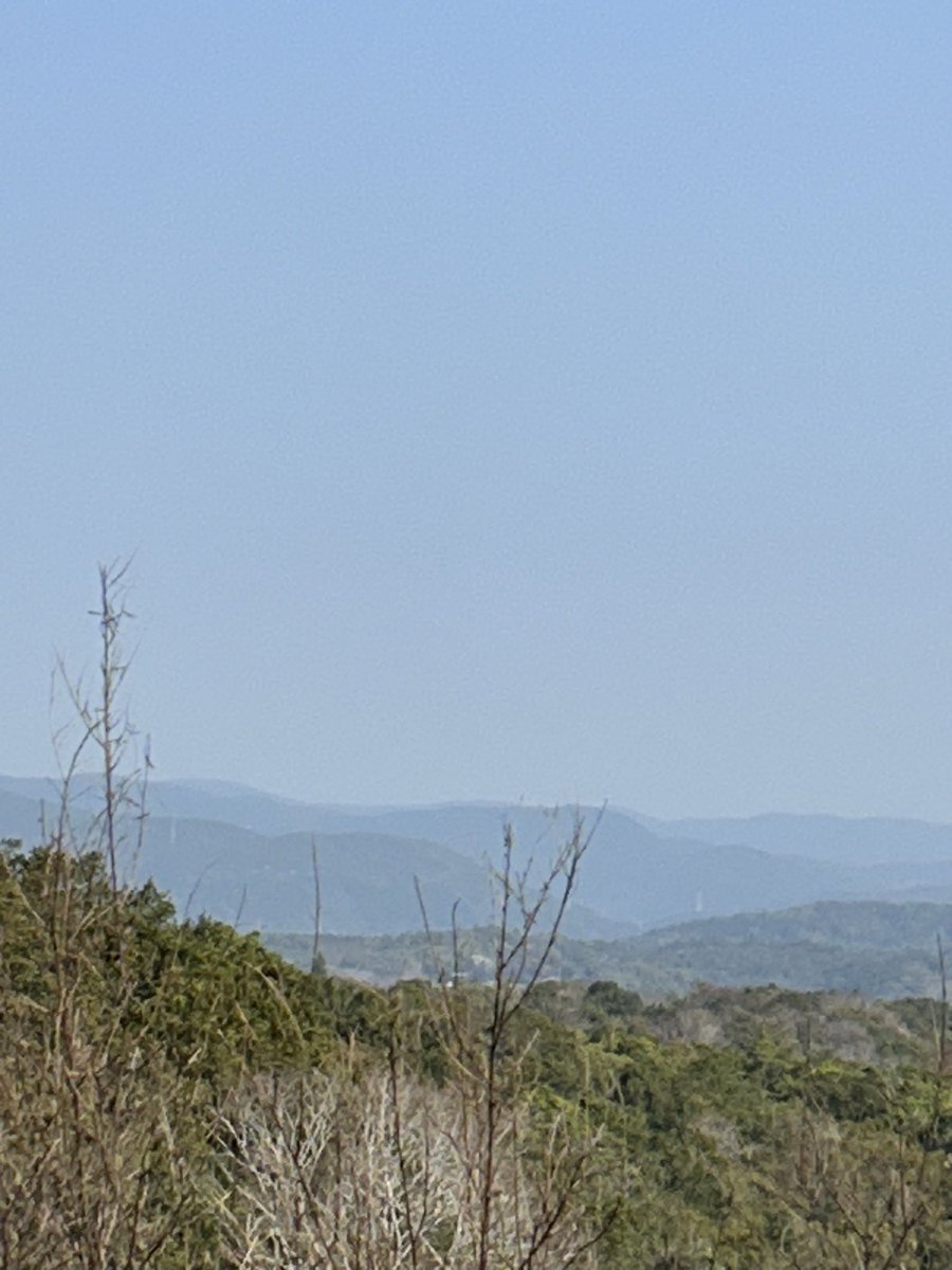 ひろぼん tweet media