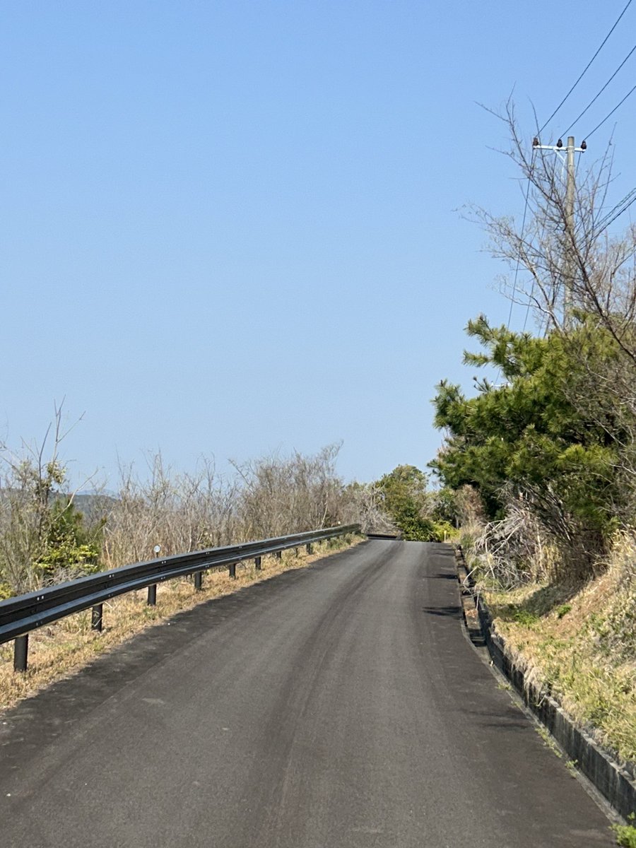 ひろぼん tweet media