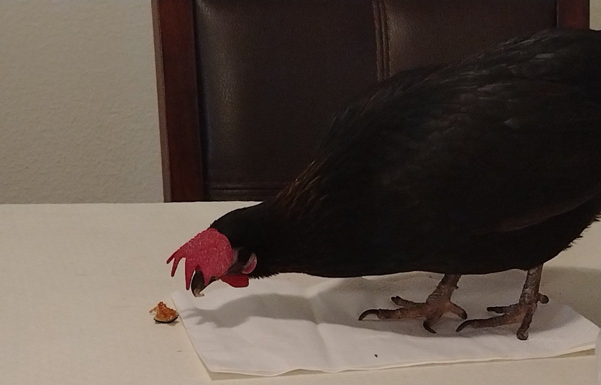 Hollyander tweet media