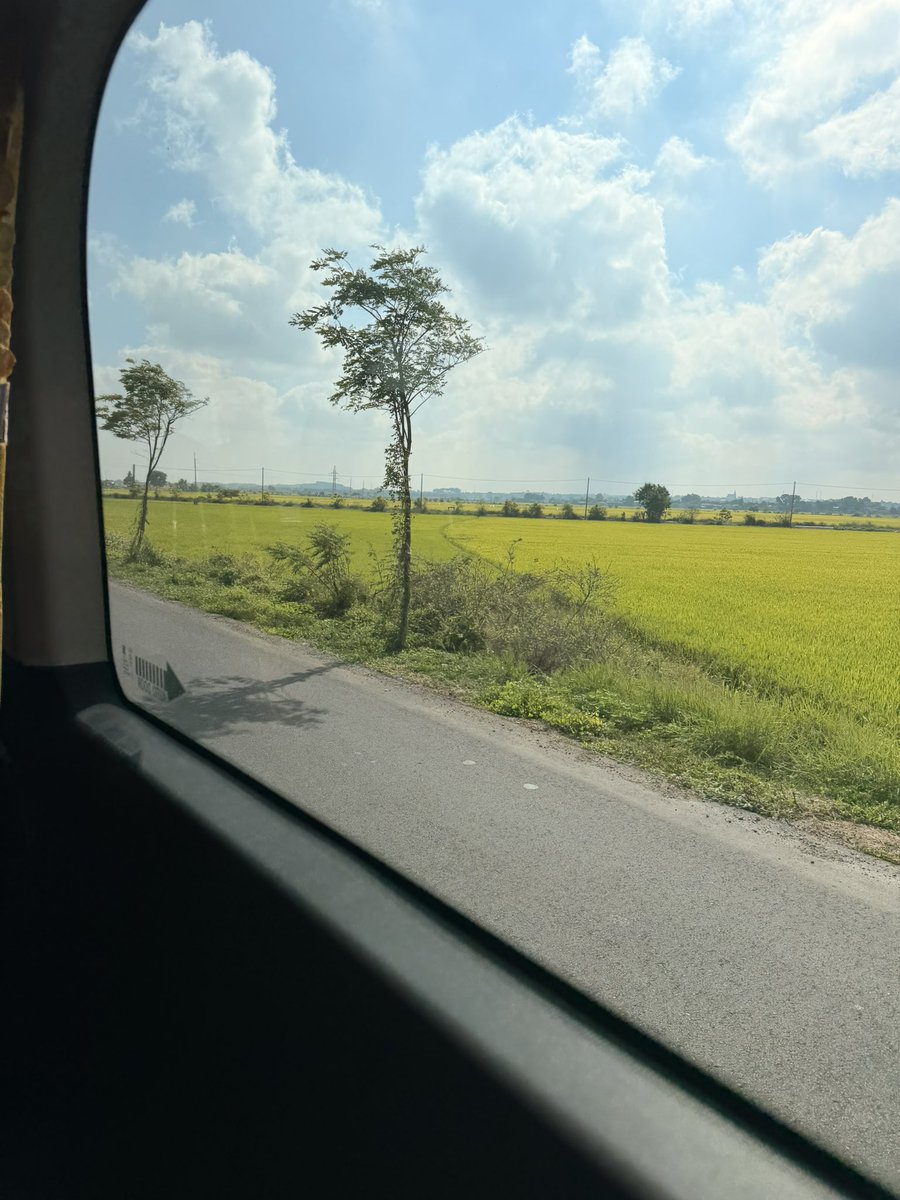 ふもまろ@ベトナム・ホーチミン市の下町に住んでいる日本人 tweet media