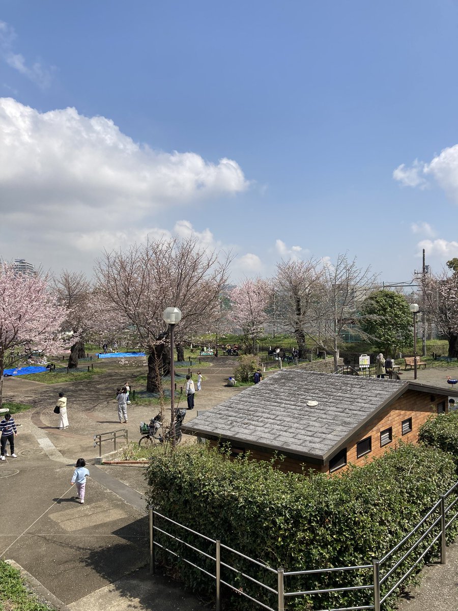 aplanet679's tweet photo. #横浜市#神奈川区#青木町5-6#幸ヶ谷#栄町#神奈川1丁目#神奈川２丁目＃神奈川本町＃金港町＃桐畑＃橋本町＃ポートサイド地区他＃東神奈川#京急神奈川駅下車#地域密着#調剤薬局#桜#幸ヶ谷公園#開花

3月28日11時の幸ヶ谷公園の桜です、
お花見に大勢の人が！ https://t.co/yP3ofZidYh