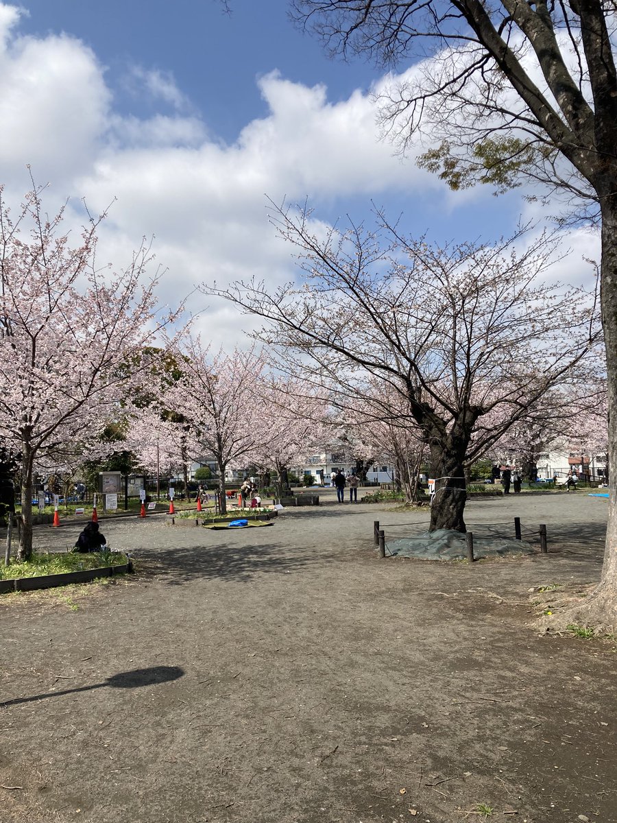 aplanet679's tweet photo. #横浜市#神奈川区#青木町5-6#幸ヶ谷#栄町#神奈川1丁目#神奈川２丁目＃神奈川本町＃金港町＃桐畑＃橋本町＃ポートサイド地区他＃東神奈川#京急神奈川駅下車#地域密着#調剤薬局#桜#幸ヶ谷公園#開花

3月28日11時の幸ヶ谷公園の桜です、
お花見に大勢の人が！ https://t.co/yP3ofZidYh