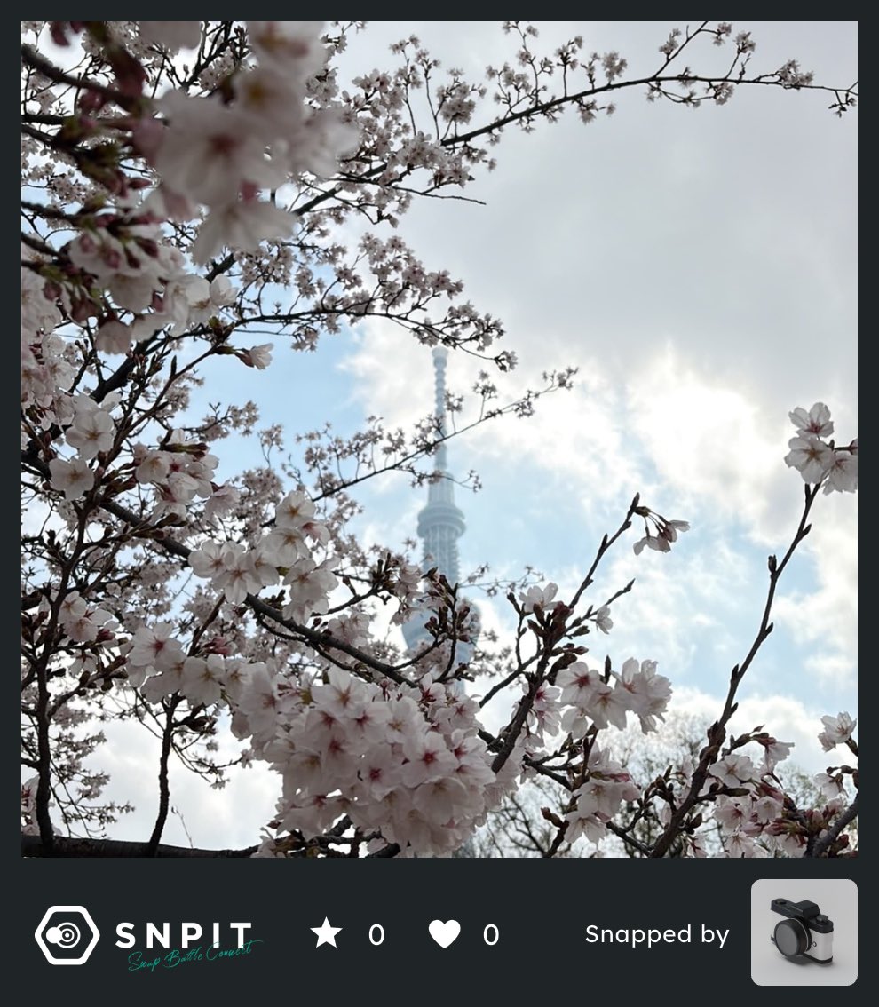 ひらちゃん| GAMIES tweet media