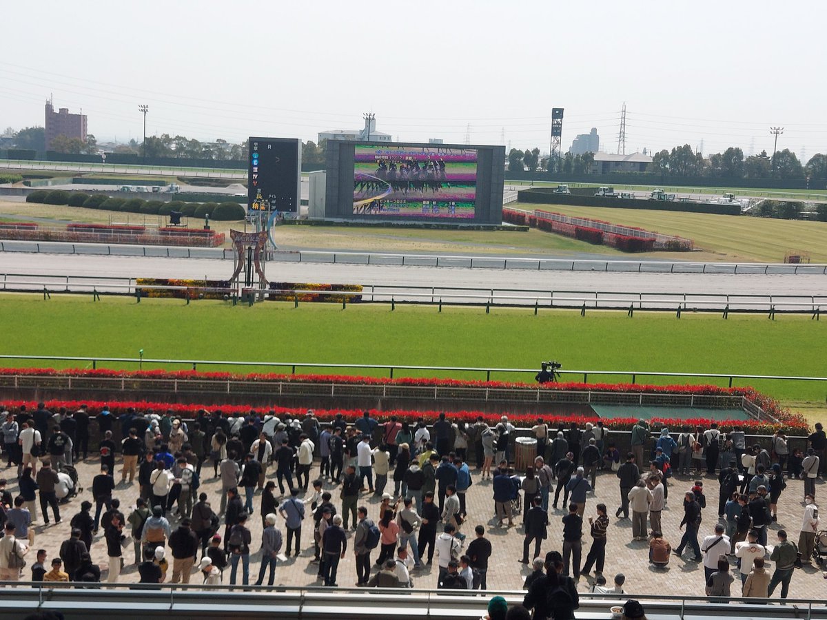 Ｍ．ノーダン tweet media