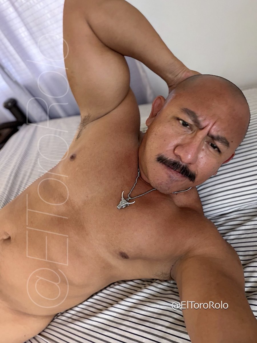 El Toro Rolo tweet media