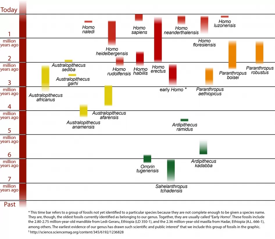 John Smith⚛ (Explorer of Reality) 🌎🇻🇦☦️ tweet media