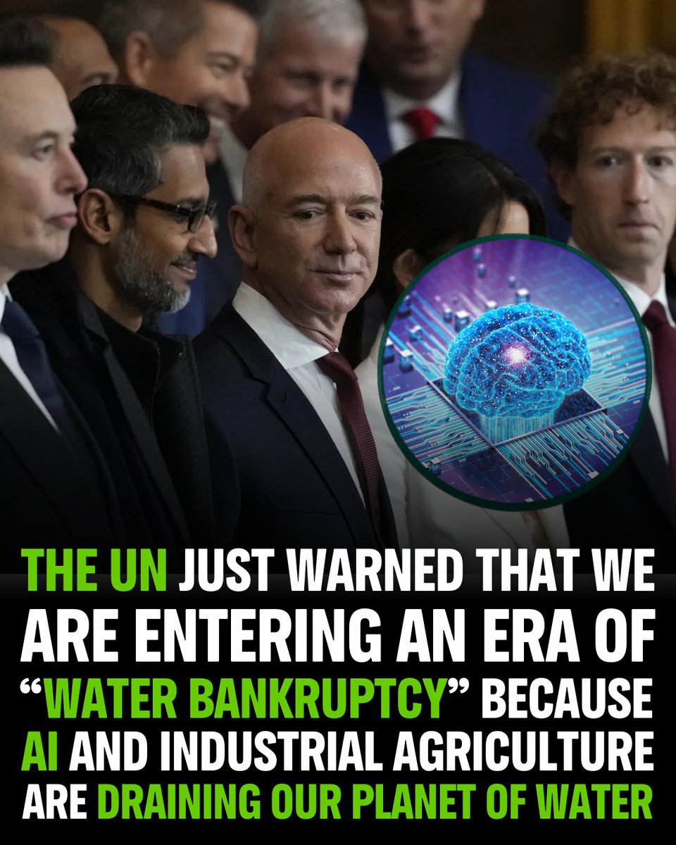 The World R🅰️nking tweet media