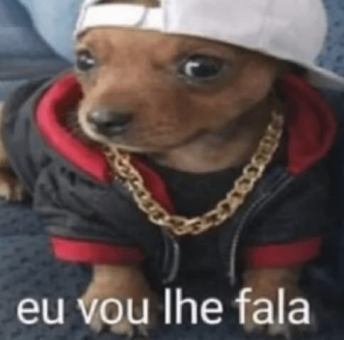 Allura NOX | Luan Queiroga tweet media