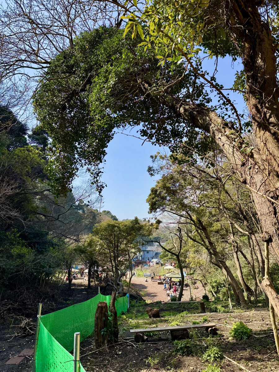 オチョメ tweet media