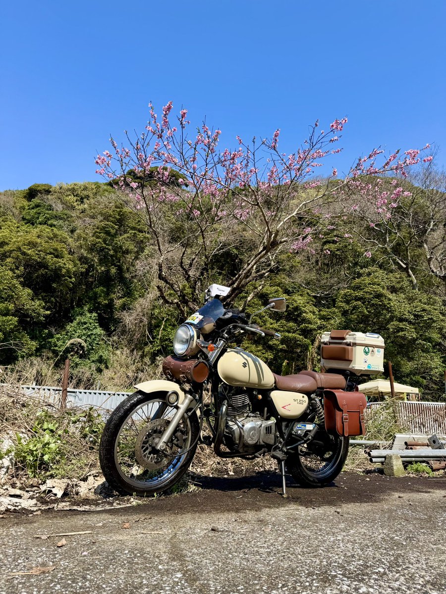 オチョメ tweet media