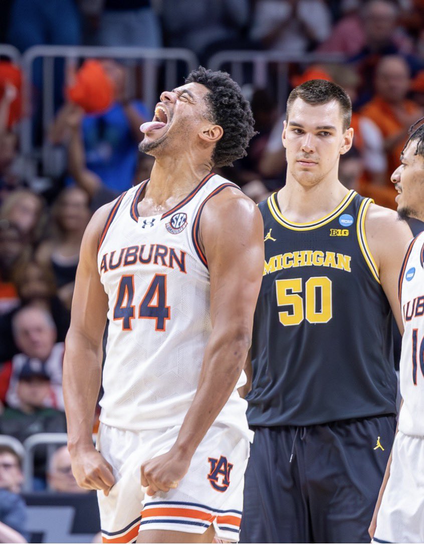 Auburn Memes tweet media