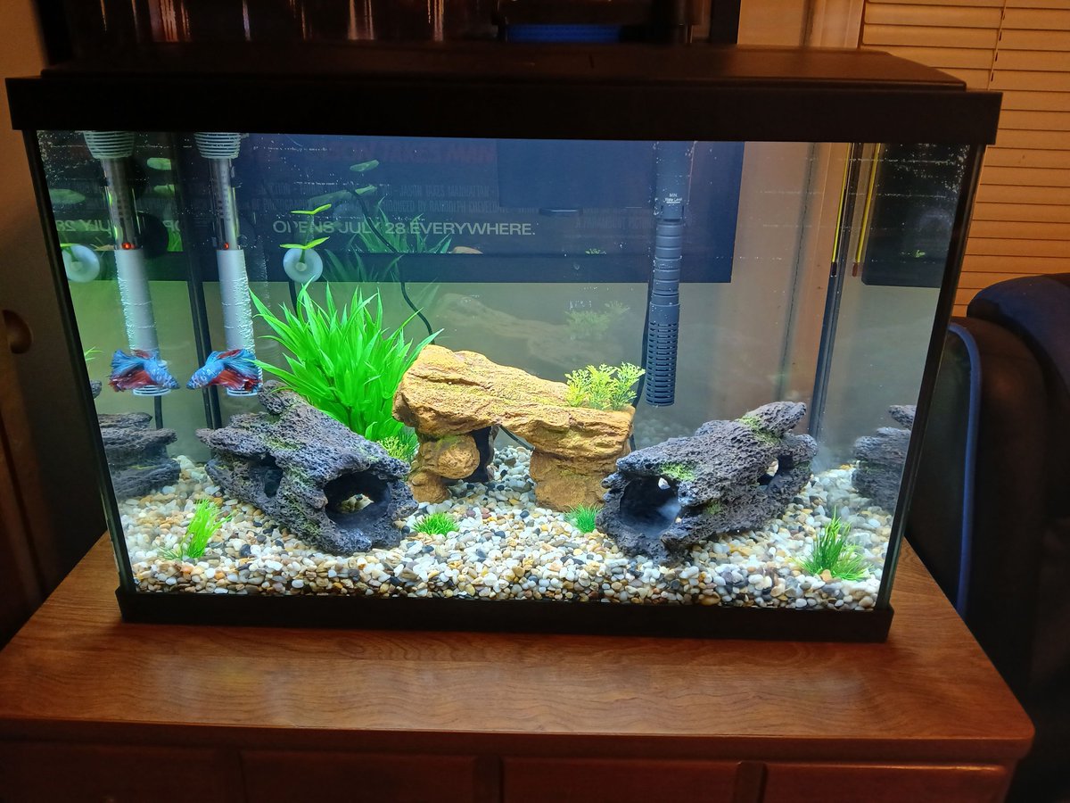 Stephen Brown tweet media