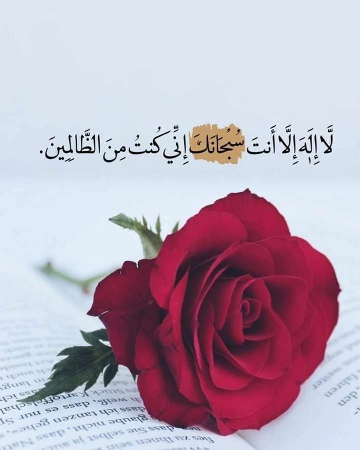 أستغفرُ ﷲ عدد من ذَكرَ وشكر..
استغفرُ الله عدد من طاف واعتمر..
أستغفرُ ﷲ عدد من صلىّ وكبّر..   
أستغفرُ ﷲ عدد ذنوبِنا حتى تُغفر..
أستغفرُ ﷲ الذي لا إله إلا هو الحي القيوم وأتوب إليه

#صباح_الشاكرين_الذاكرين_لله_تعالي
#صباح_الخير_والسعادة 
#الشيهانه_القحطاني