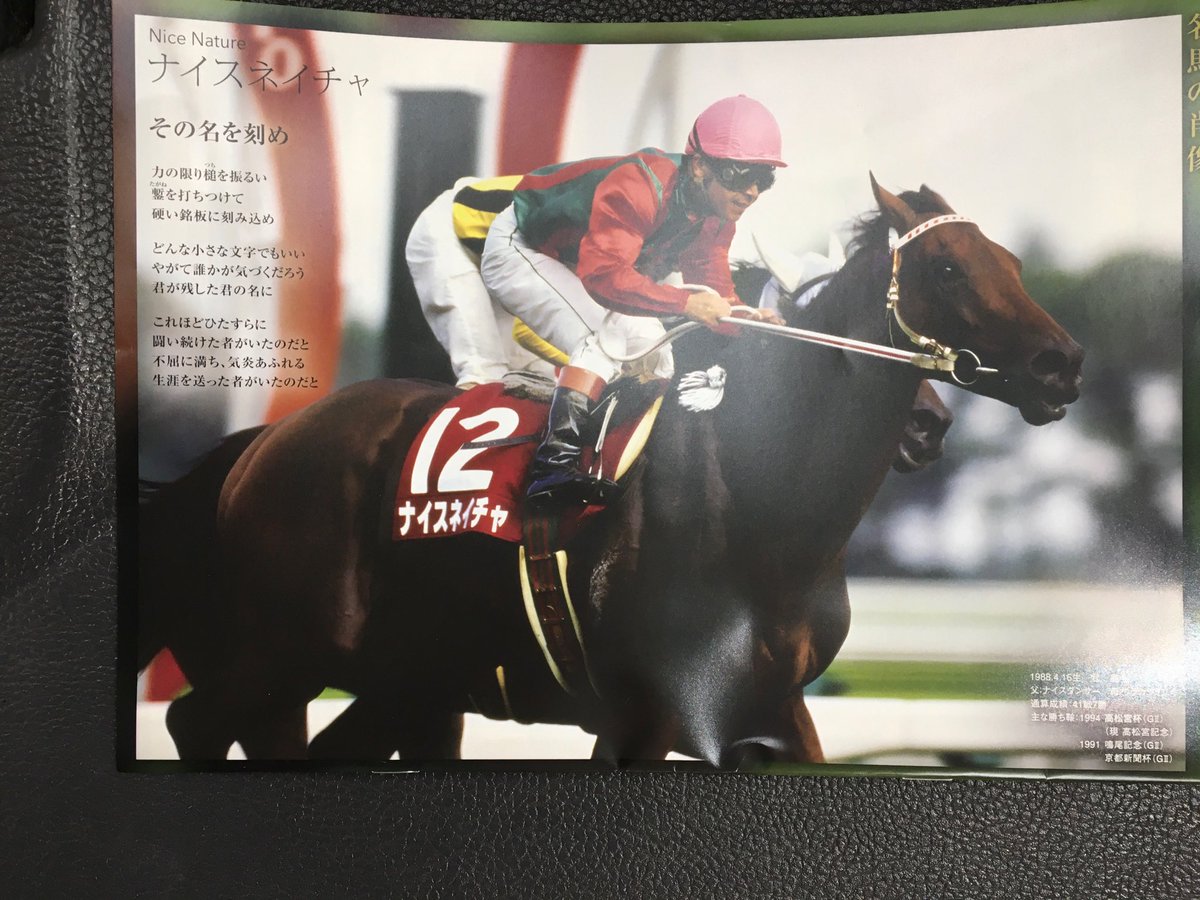 ナイスネイチャ 高松宮杯（AVANTI・Sサイズ）競走馬 ぬいぐるみ Yahoo